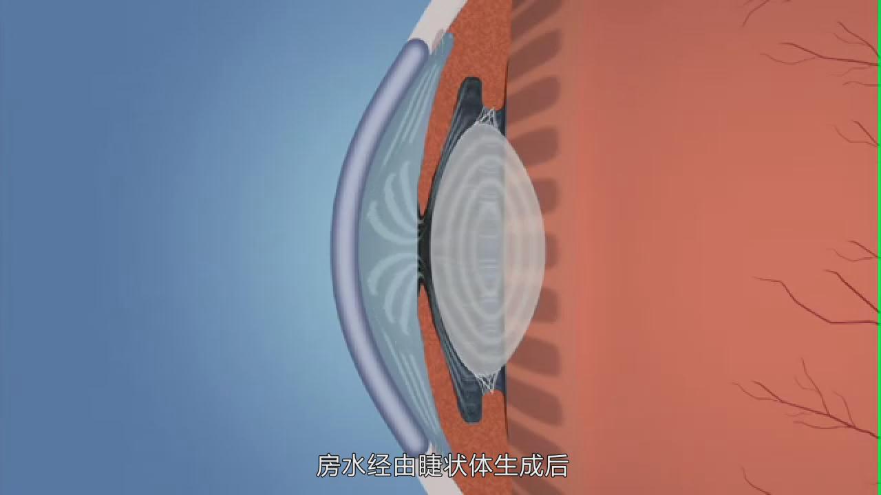 &#26131;&#28216;&#32593;&#39029;&#29256;&#45;&#26131;&#28216;&#40;&#20013;&#22269;&#41;